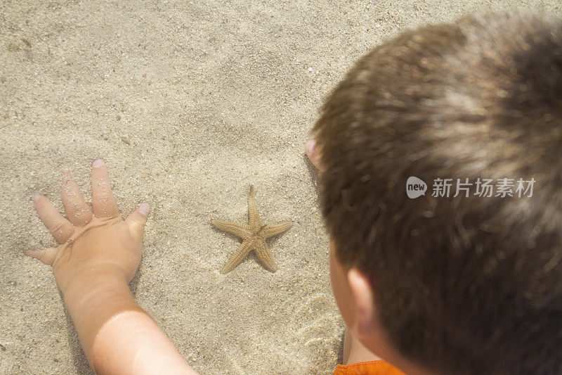 小男孩和海星