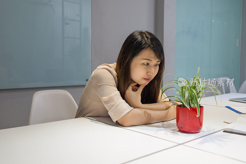 女孩看着桌上的一盆植物