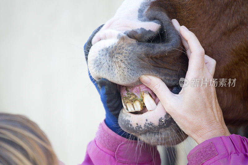 牙齿有问题的马
