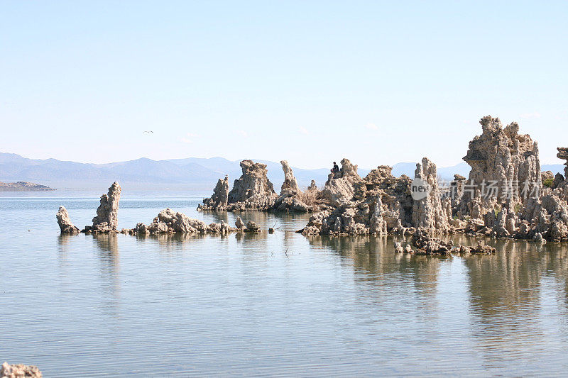 莫诺湖和凝灰岩塔