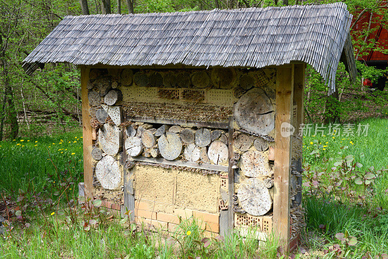 野生独居蜜蜂昆虫旅馆