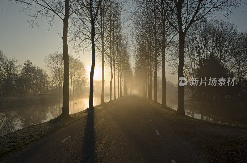 模糊的道路