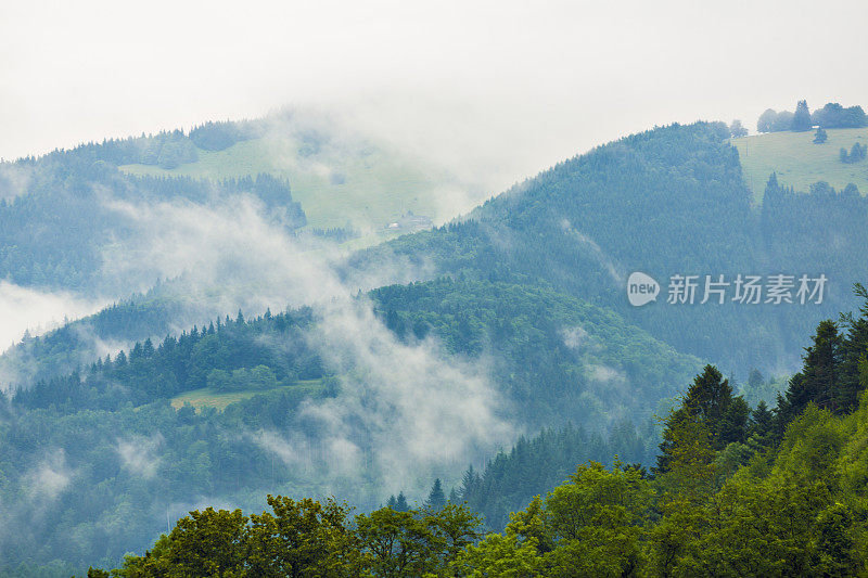 德国黑森林景观