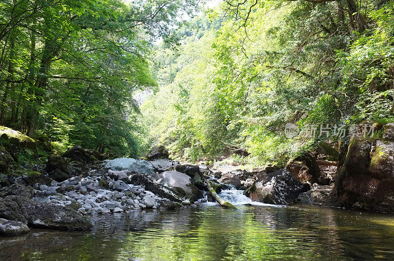 阿雷泽峡谷和瑞士汝拉河