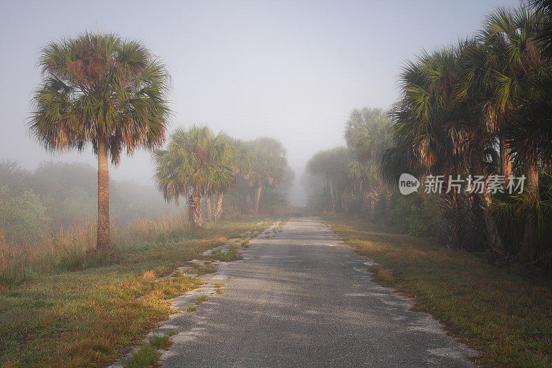 模糊的道路