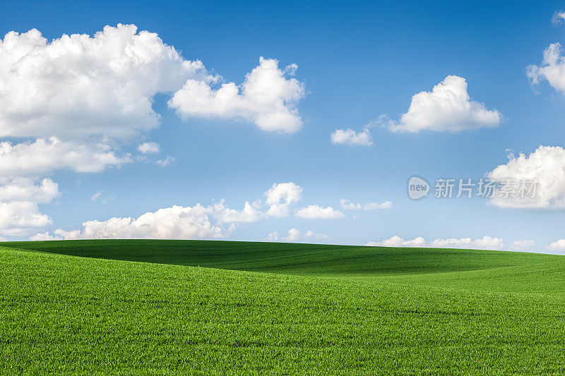 春景——草甸，蓝天