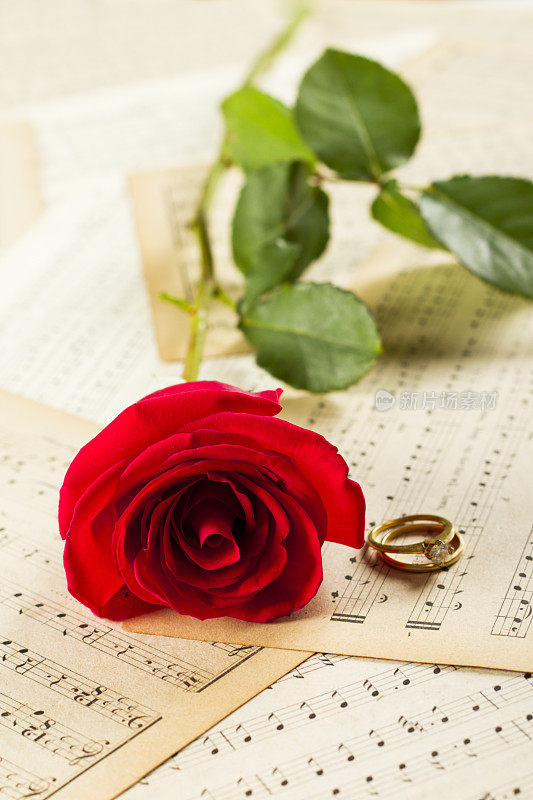 玫瑰和古董纸音乐与复制空间
