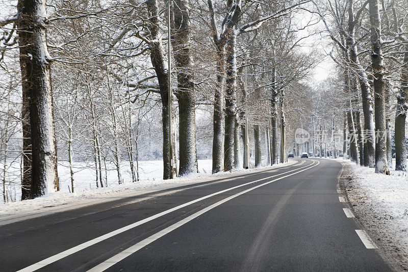 结冰的道路穿过雪景，两旁是树木