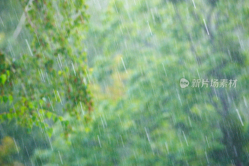 夏雨