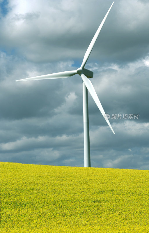 华盛顿州东部的风力涡轮机和油菜籽