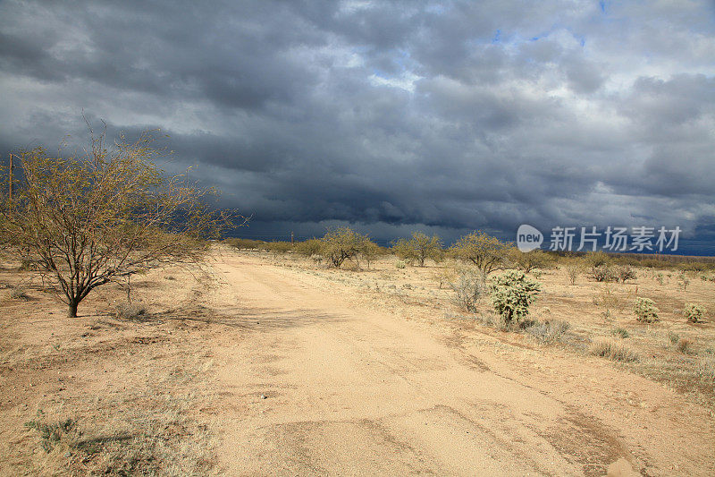 亚利桑那州沙漠上的风暴云和风