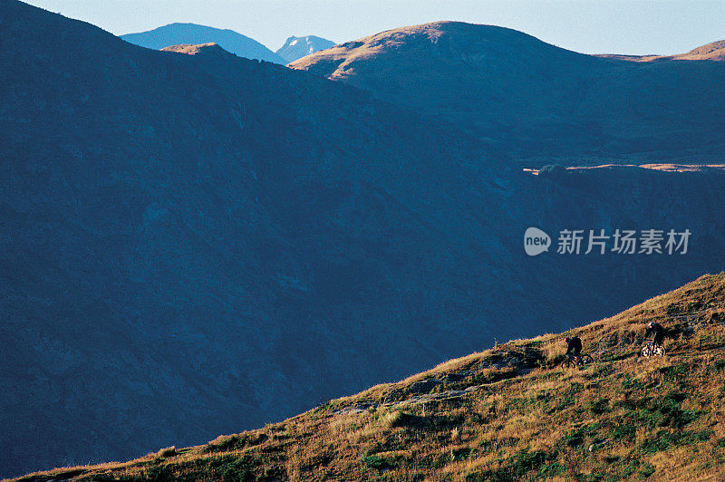 新西兰的山地自行车运动