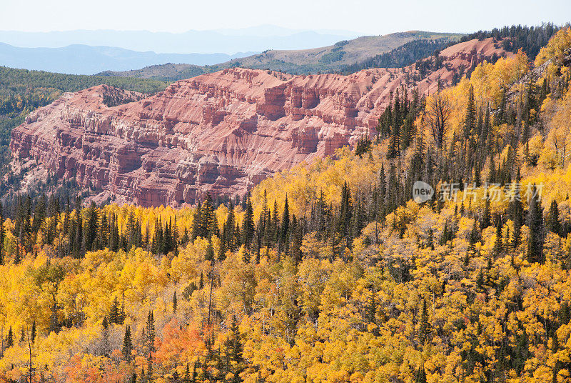 秋天的颜色和红石雪松打破犹他州国家纪念碑
