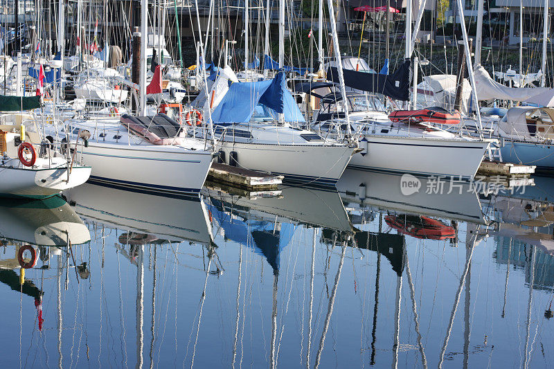 白色帆船停泊在加拿大温哥华的一个码头上