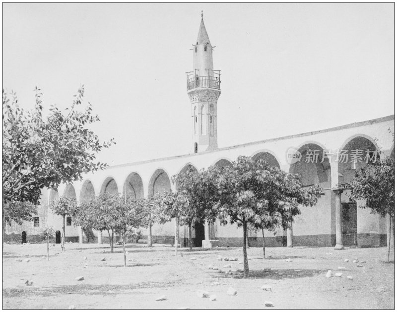 圣地，埃及和中东的古老照片:阿姆鲁清真寺