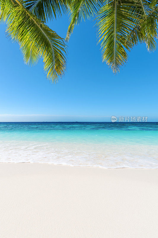 夏季热带海滩背景