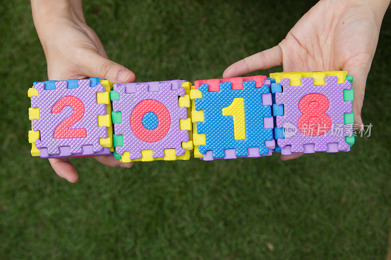 女人拿着玩具拼图2018年的文字在手与绿草的背景