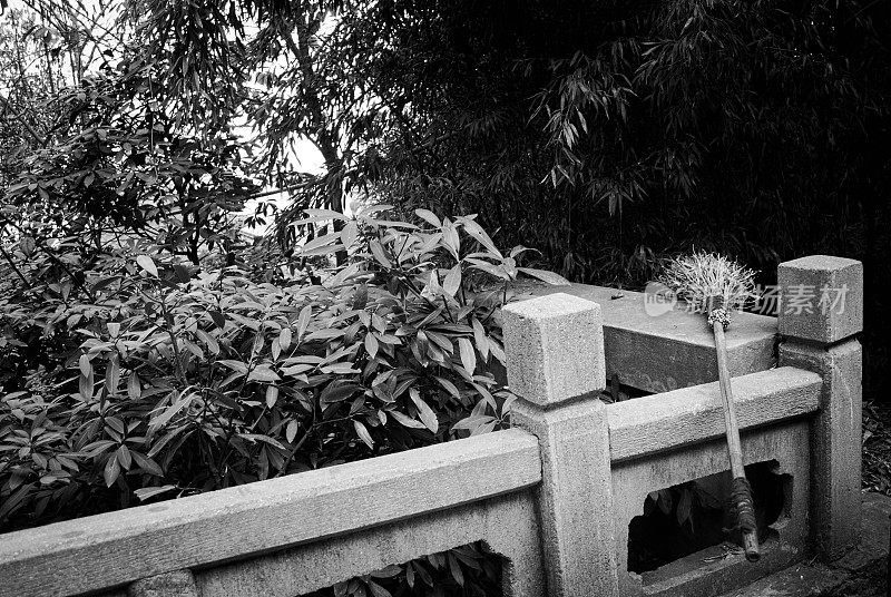 公园内孤立的木扫帚(中国云南昆明)