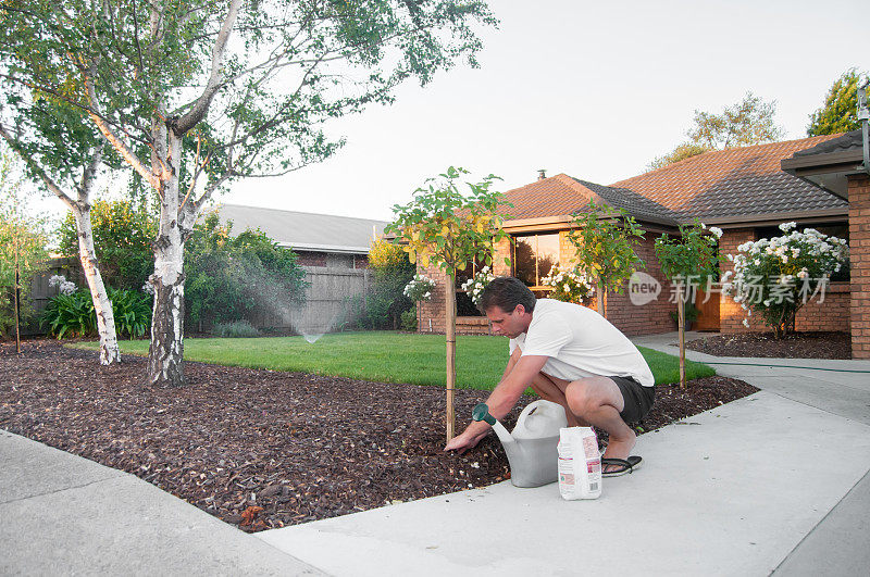 一个男人在一个家庭的前院照顾玫瑰