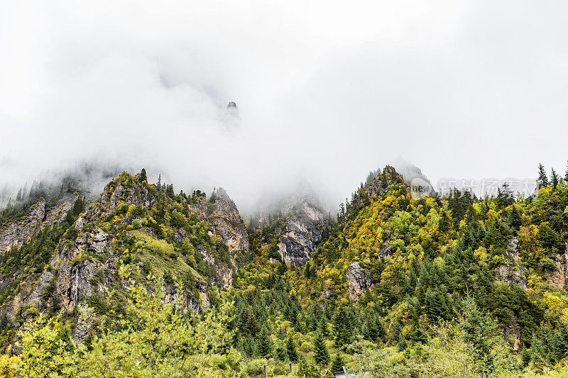 云雾笼罩着山景