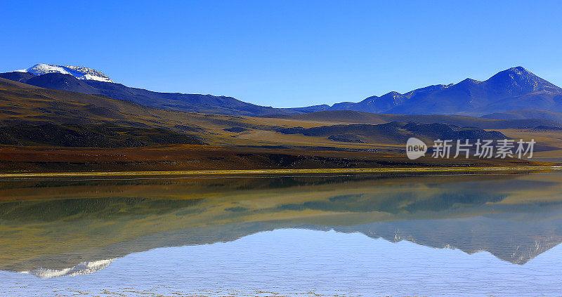 拉古纳-图亚克托湖和Miniques火山-绿松石湖盐反射和田园般的阿塔卡马沙漠，火山景观全景-圣佩德罗德阿塔卡马，智利，Bolívia和阿根廷边境