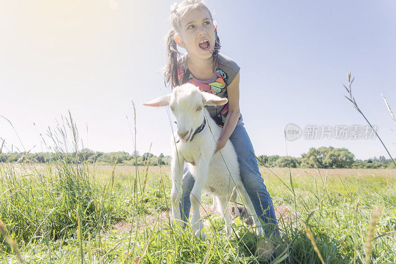 小女孩一边玩一边喂山羊。