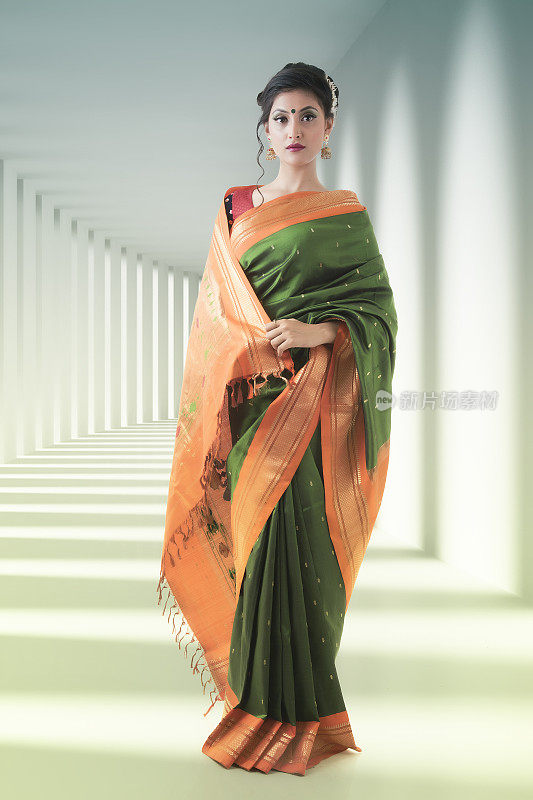 美丽的印度女士在传统纱丽