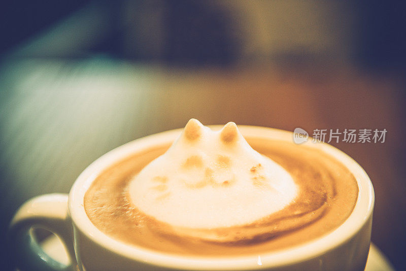 特写咖啡猫在北京，中国