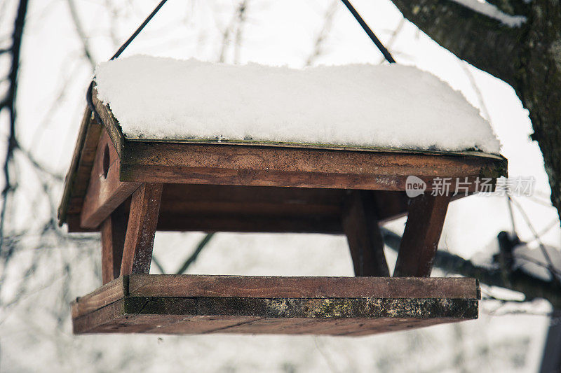 雪喂鸟器