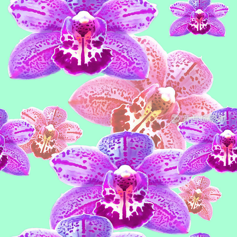 兰花,蝴蝶兰属。花型纹理无缝。花背景，照片拼贴