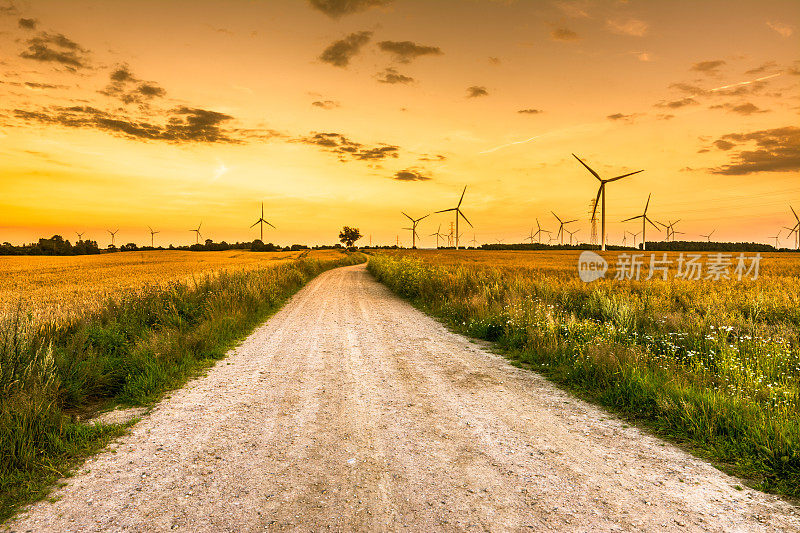 道路和田间的风车农场在夕阳下，田间有农作物，乡村风景，波兰