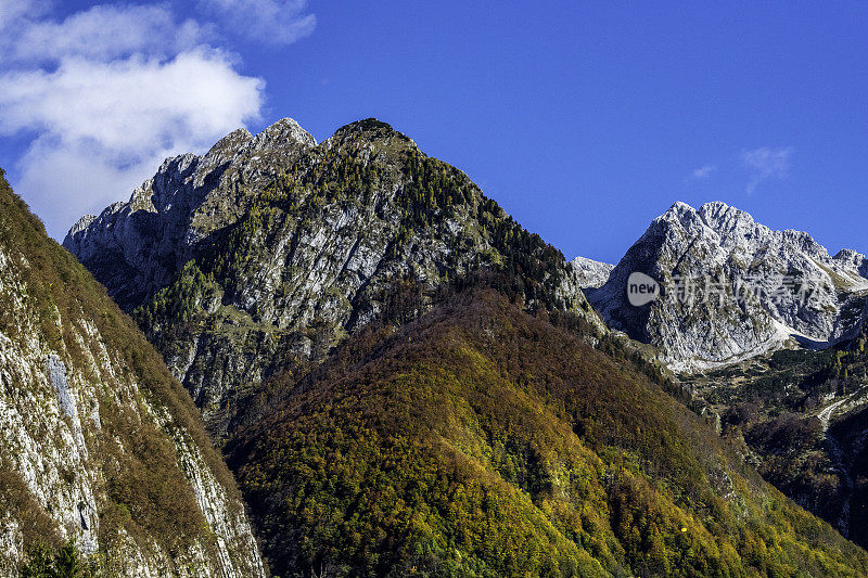 秋天的森林和山脉，Bavšcica山谷，Bovec，朱利安阿尔卑斯山，斯洛文尼亚，欧洲