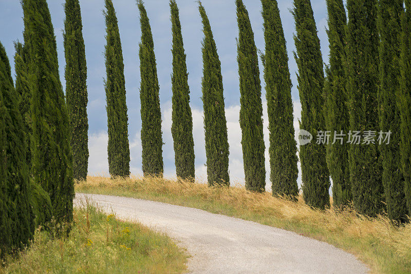 托斯卡纳风景与柏树公路，意大利