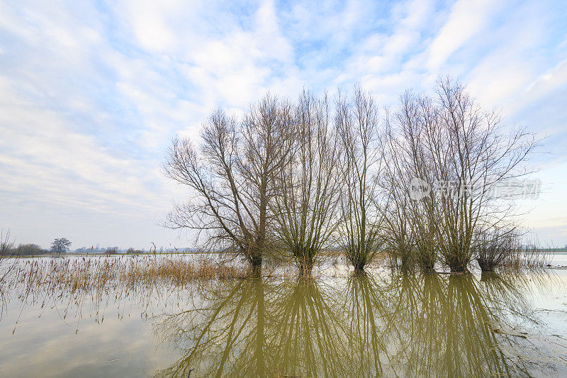 荷兰IJssel河溢流区发生洪水