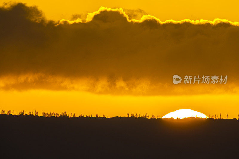 夏威夷的毛伊岛