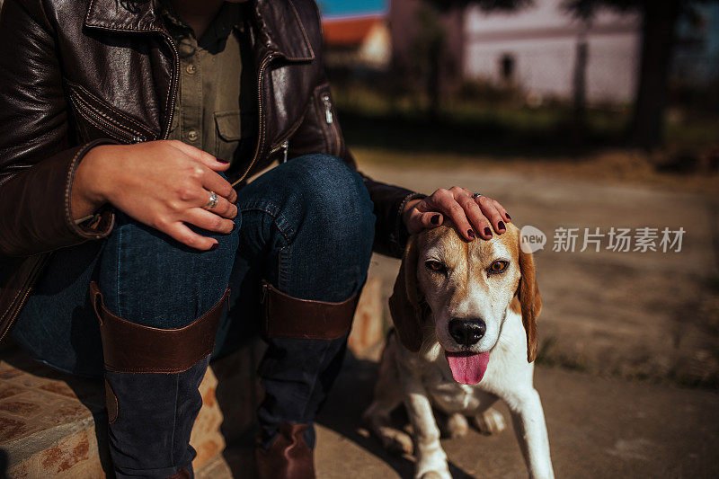 年轻女人和比格犬