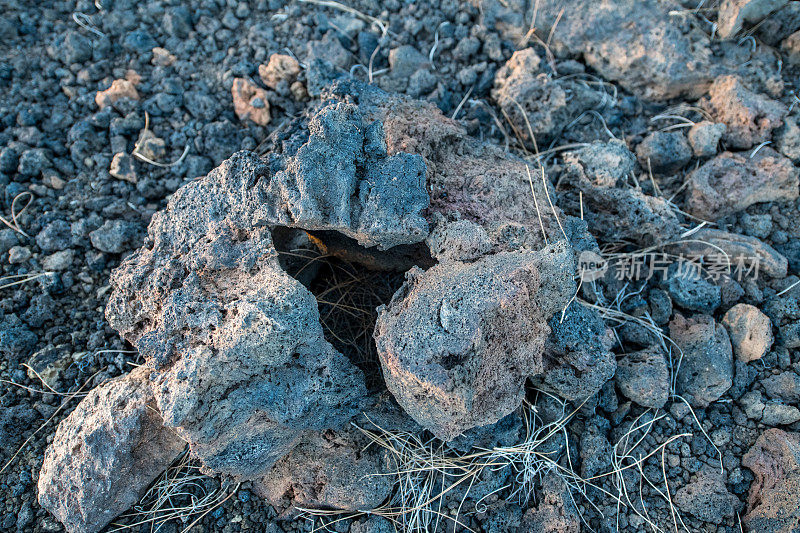 西班牙特内里费岛的埃尔泰德火山国家公园的火山岩特写