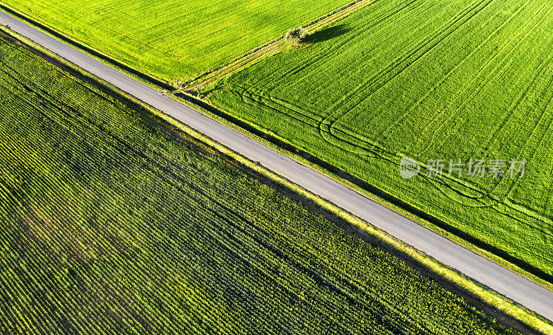 鸟瞰图的乡村道路基安蒂地区，托斯卡纳，意大利