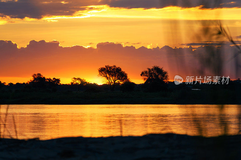 非洲的太阳在赞比西河上落下