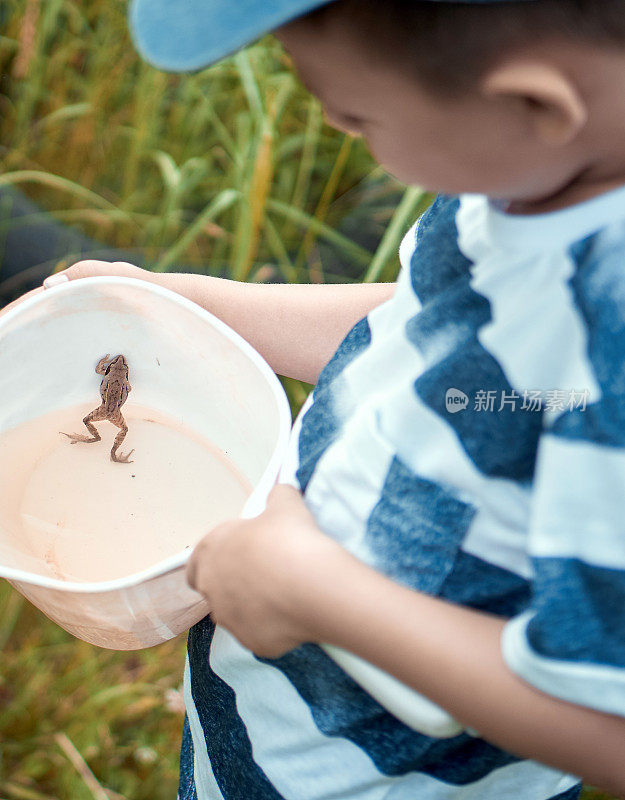 一位年轻的博物学家正在研究捕获的蟾蜍