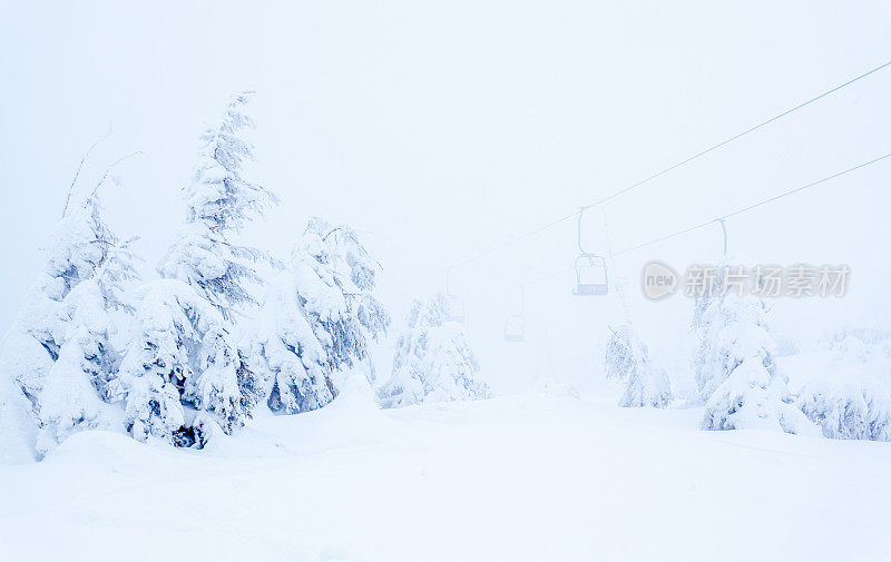 雪后冰雪覆盖的冷杉林和冬日灰蒙蒙的天空。喀尔巴阡山脉,乌克兰。