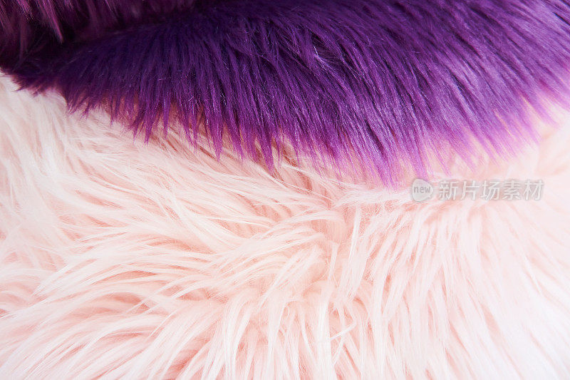 粉红和紫色的皮毛纹理，蓬松的背景