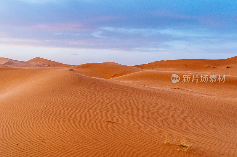 摩洛哥Merzouga沙漠的橙色沙丘和多云的天空。