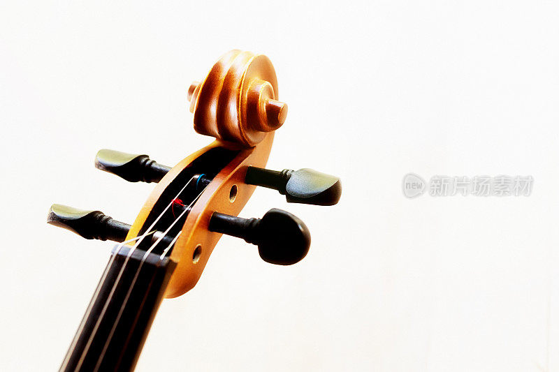 小提琴脖子的特写视图，显示调弦弦