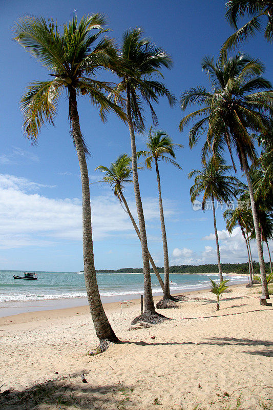 Trancoso海滩在安全港