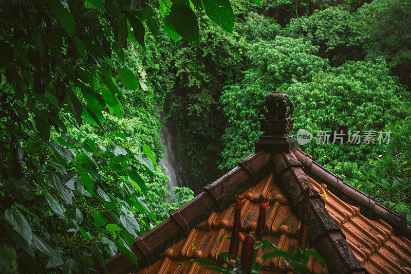 巴厘岛的小屋，周围是茂盛的热带植物