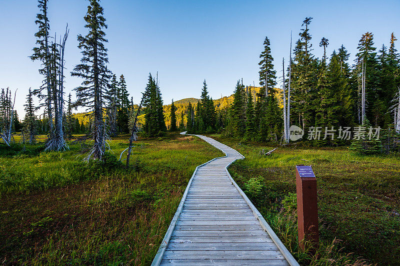 禁止高原木板路在华盛顿山BC