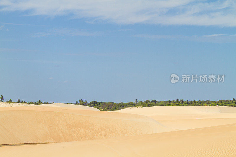 绿松石绿色，翠绿的雨水湖泻湖在一个金黄的沙丘在Jericoacoara，巴西