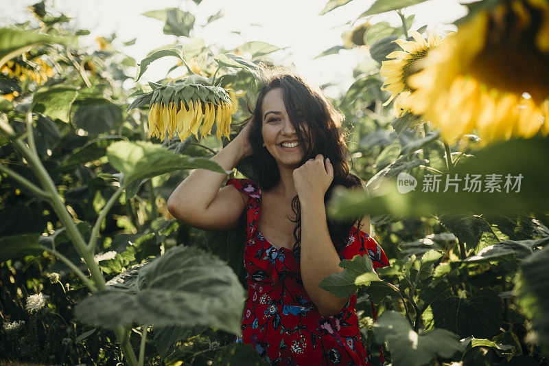 美丽的女人在向日葵地里欣赏日落