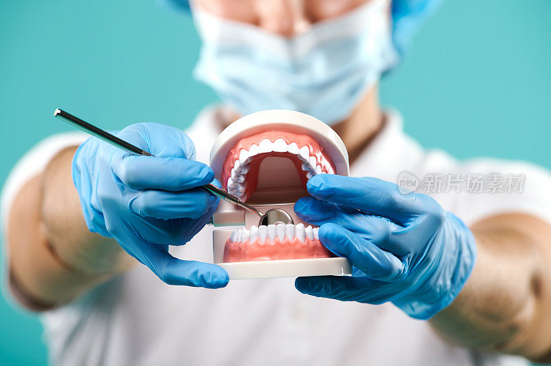 特写的人类牙齿模型和牙科镜在医生手中。牙齿健康的概念